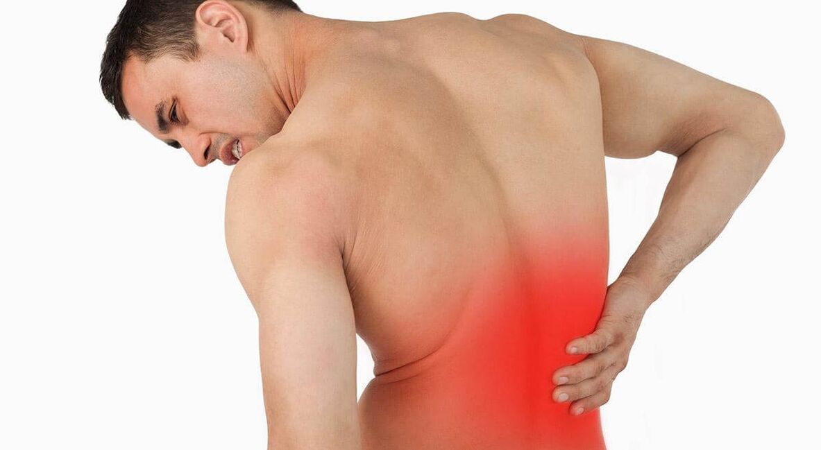 The cause of back pain